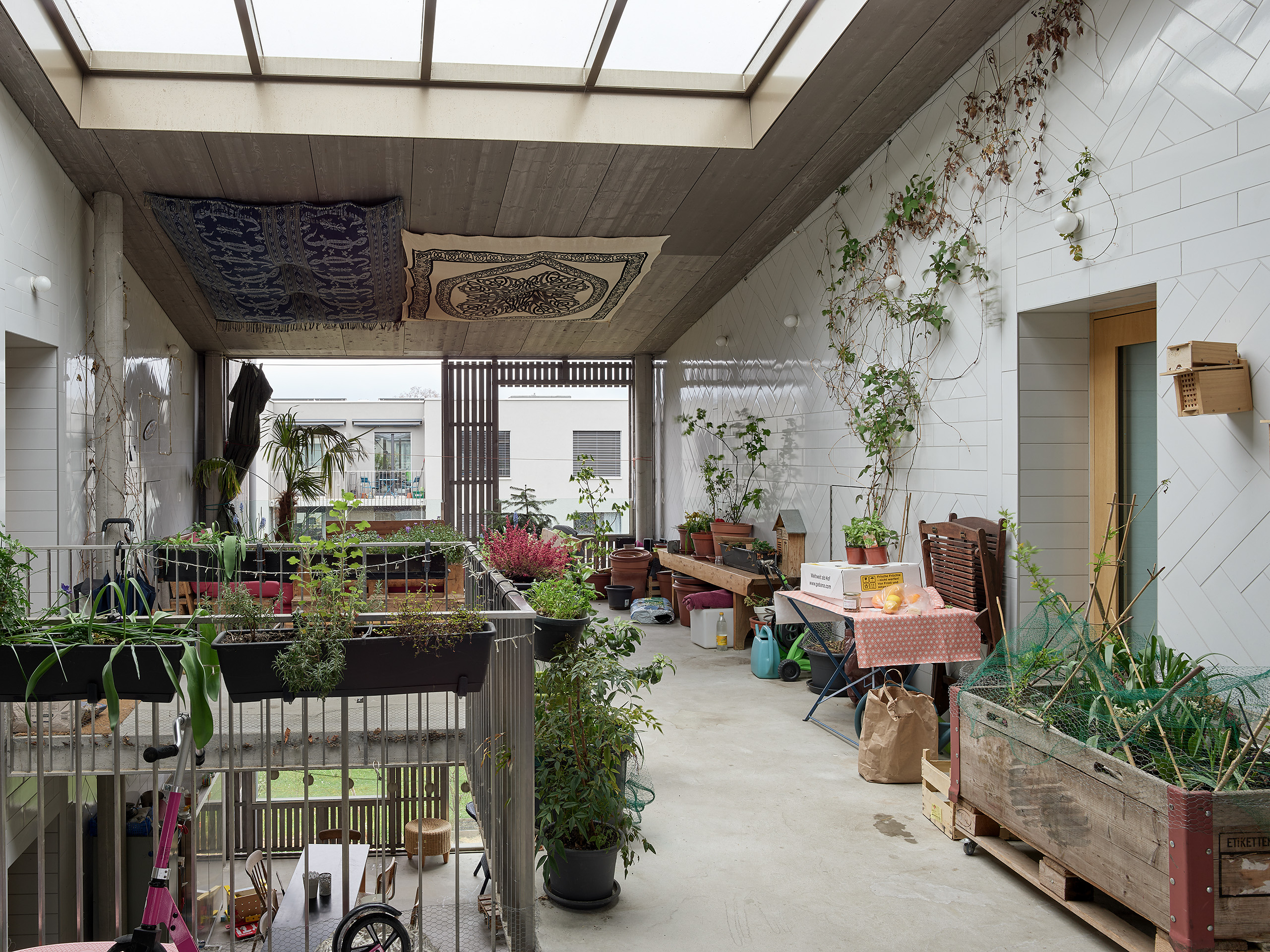 ahp0076 · Bonhote Zapata 55 Rigaud